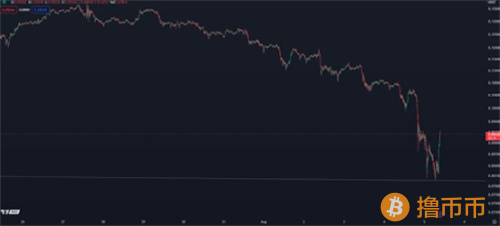 狗狗币在跌破0.1美元后从关键支撑位反弹